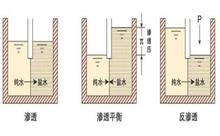 纯水系统工作原理介绍